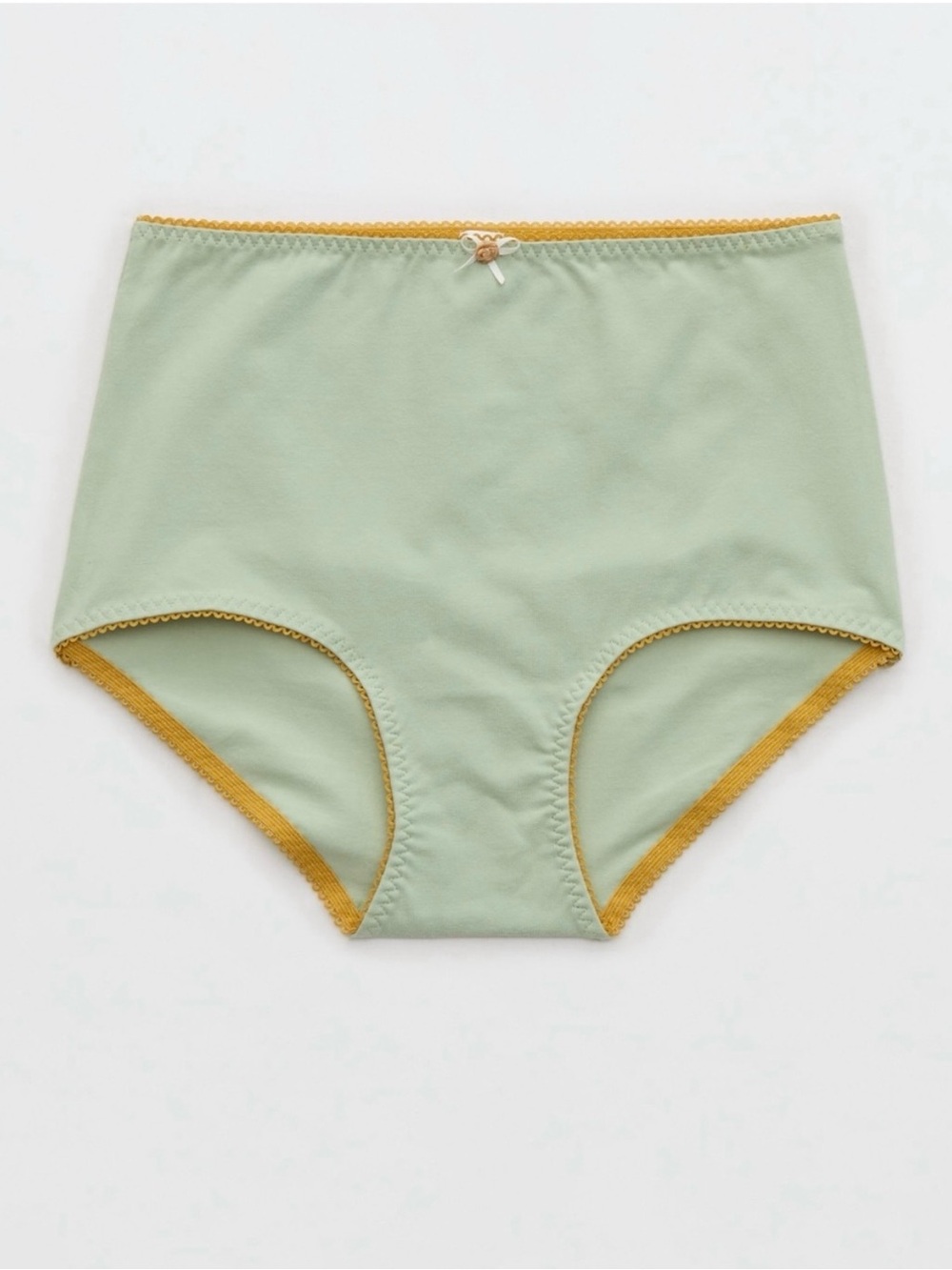 NWT Aerie Retro High Rise Panty